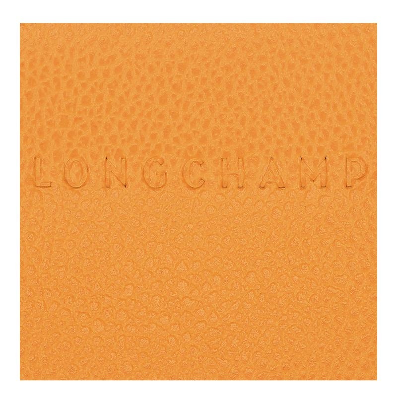 Apricot Orange Longchamp Le Foulonné Men's Cardholders | NOUG-50391