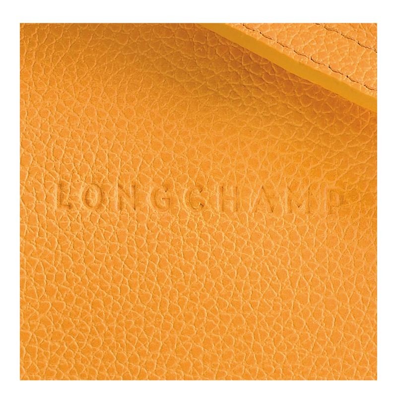 Apricot Orange Longchamp Le Foulonné S Women's Crossbody Bags | NFXD-76950