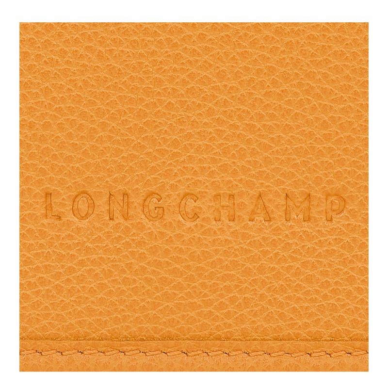 Apricot Orange Longchamp Le Foulonné XS Women's Clutch Bag | LKFR-02875